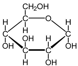 Exam diagram