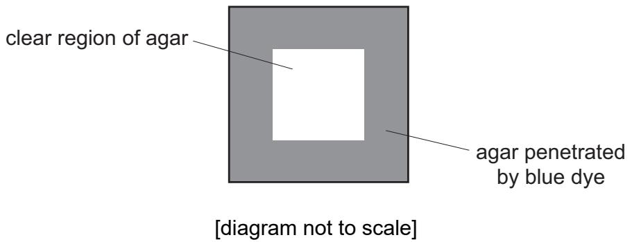 Exam diagram