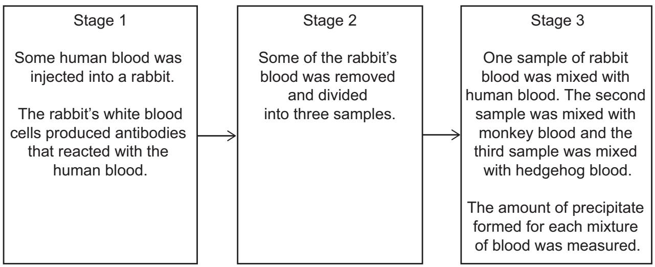 Exam diagram