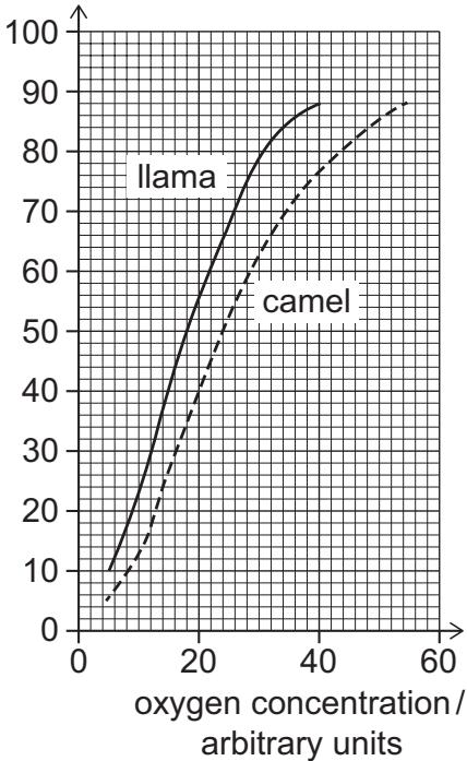 Exam diagram