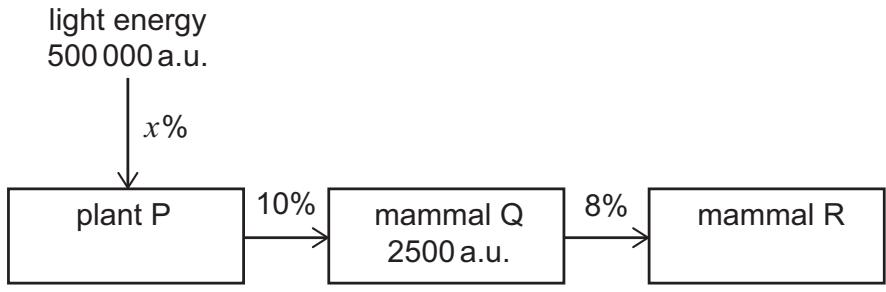 Exam diagram