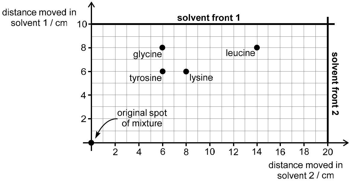 Exam diagram