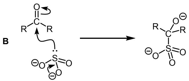 Exam diagram
