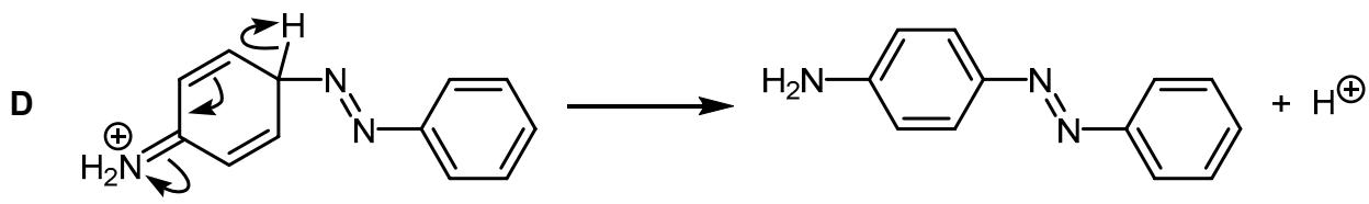 Exam diagram