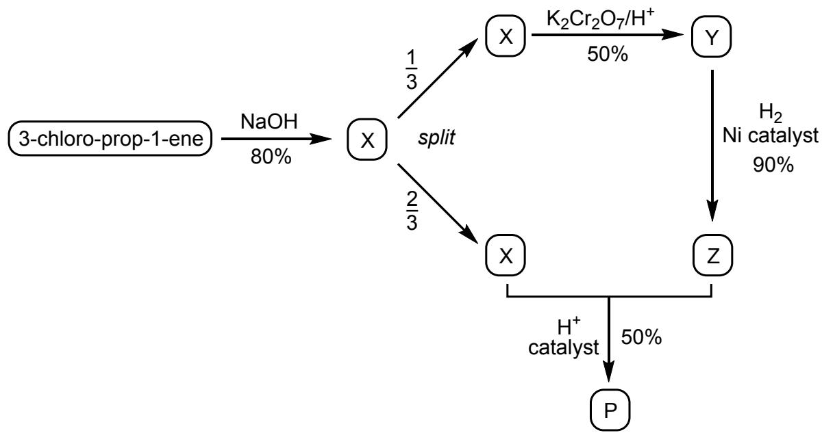 Exam diagram