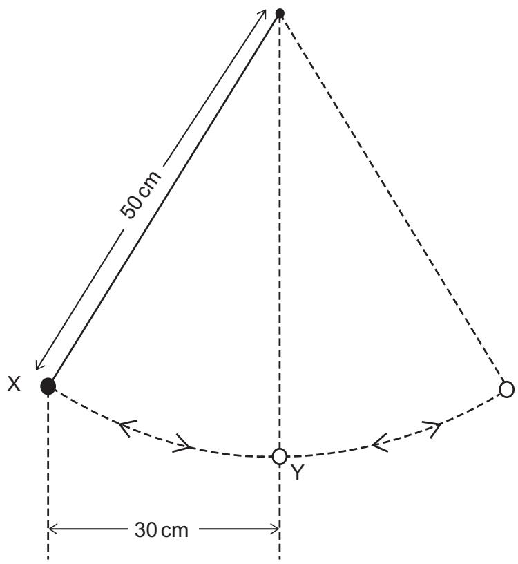 Exam diagram