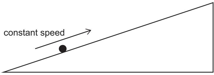 Exam diagram