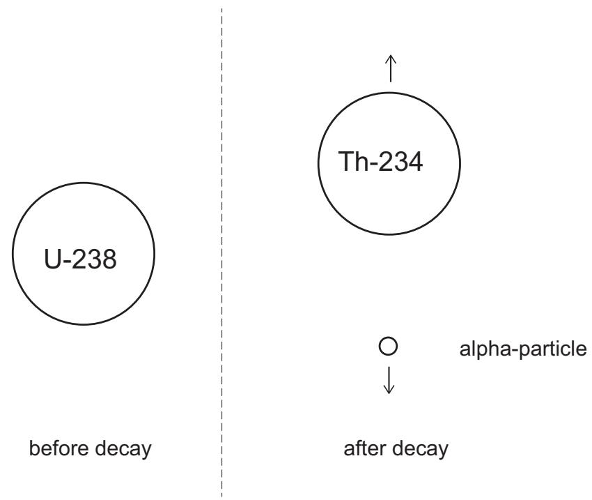 Exam diagram