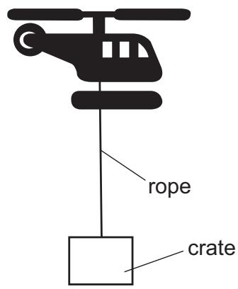 Exam diagram